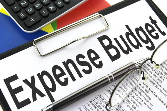Expense Budget - Clipboard image