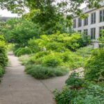 Horticulture : Practices and The Therapy - Follow Green Living