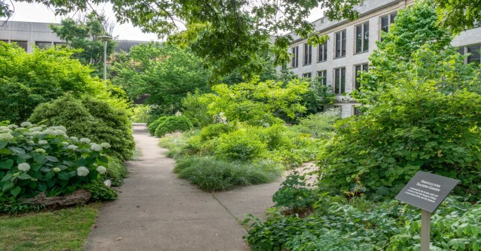 Horticulture : Practices and The Therapy - Follow Green Living